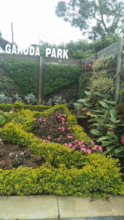 Garuda Park Resort 科塔吉里 客房 照片